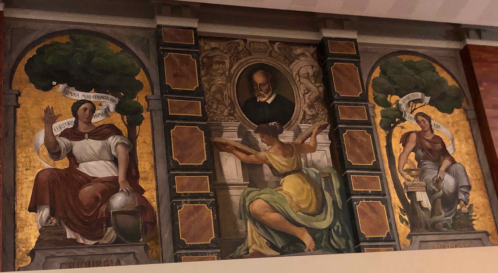 Aula Magna Medicina Valencia